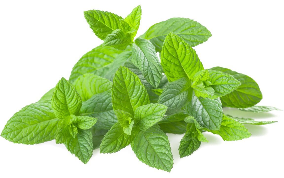 Mint oil in chondrolif